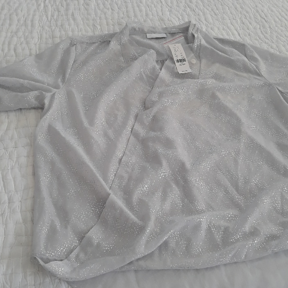 Silver Blouse